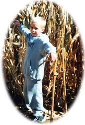 Pumpkin Patch Madisonville Ky