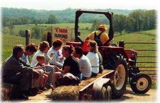 Pumpkin Patch In Versailles Ky Post