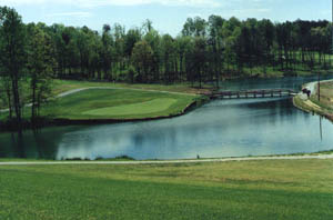 shadyhollow_course.jpg (17044 bytes)